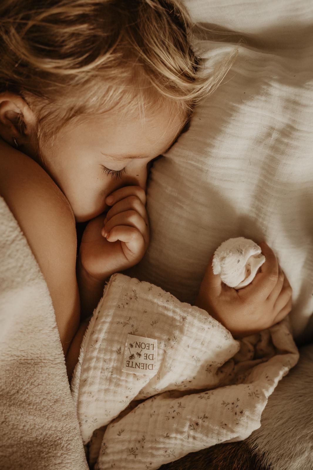 Doudou / trapito de apego