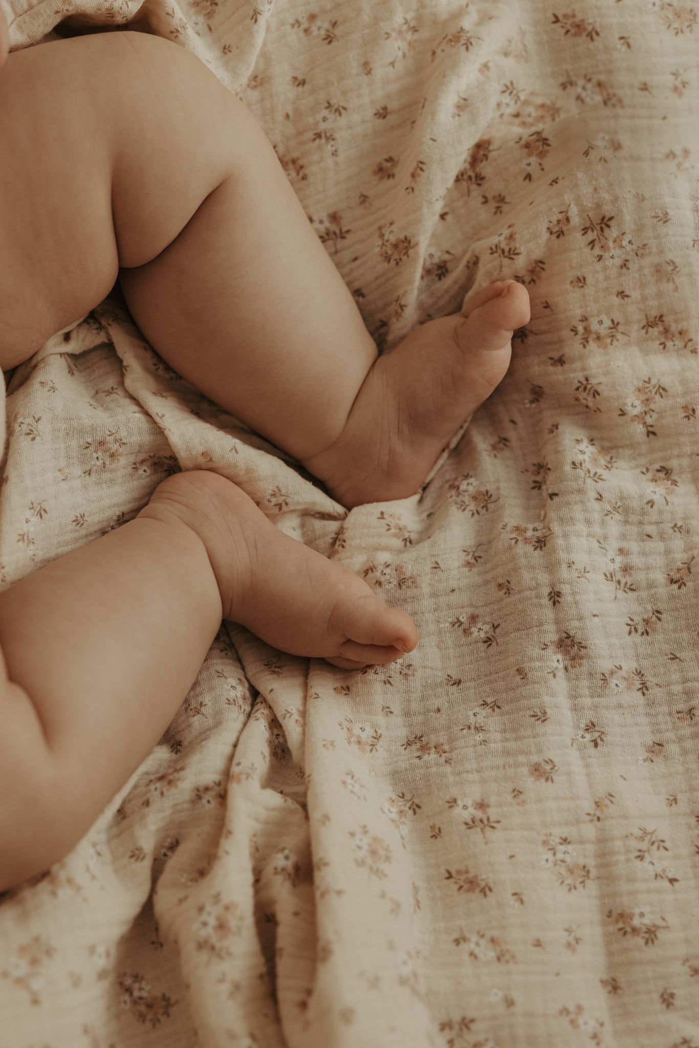 MUSELINA OLIVIA (1metro x 1metro)