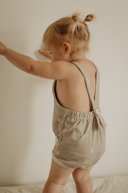 RANITA BORA (0-3 y 18-24meses)