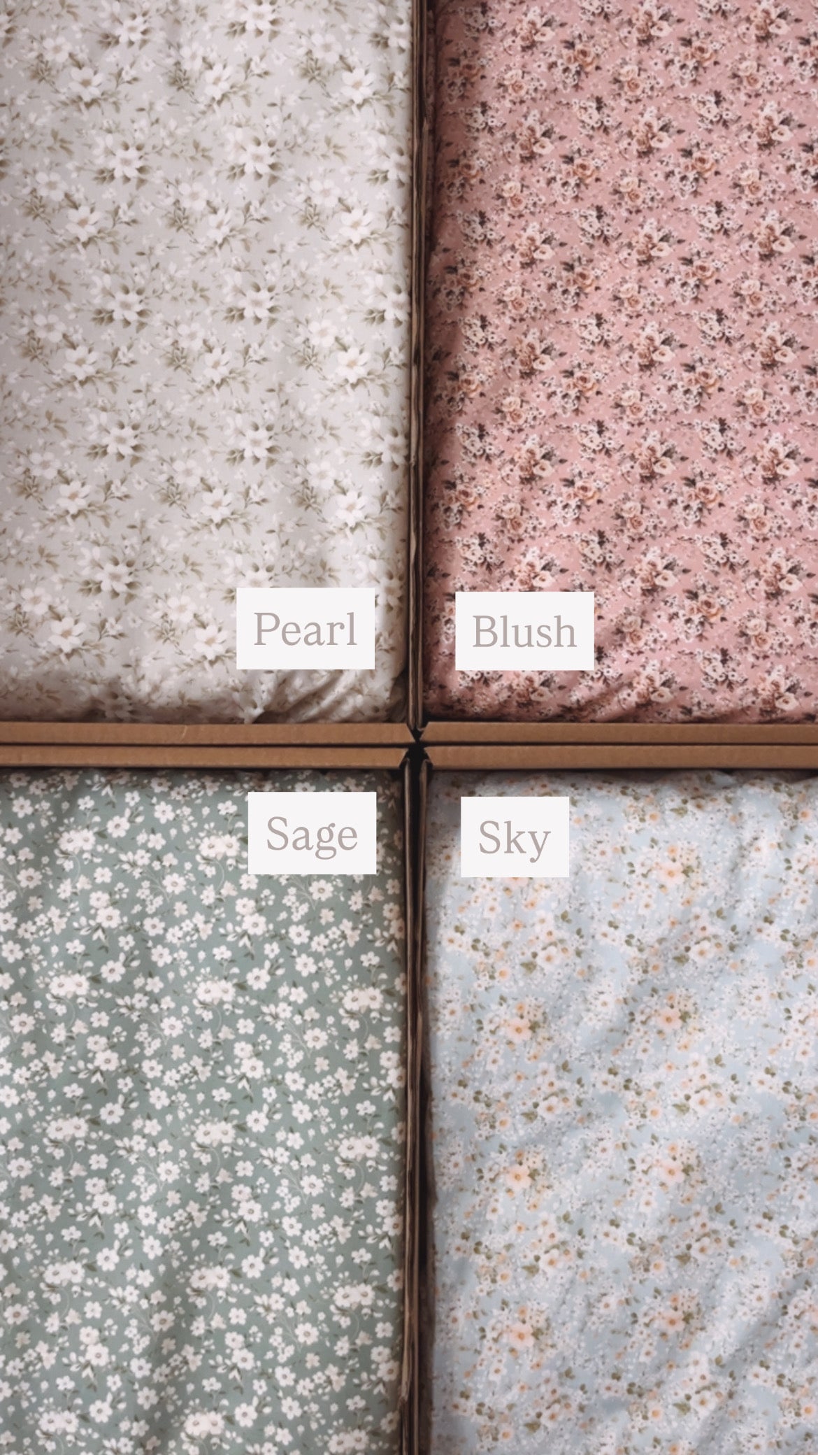 EDICIÓN LIMITADA BLOSSOM