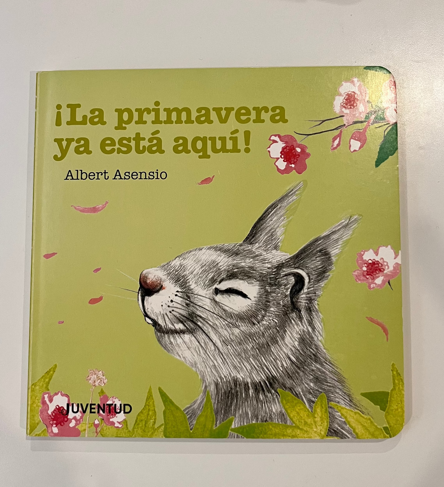 Libro “La primavera ya está aquí”